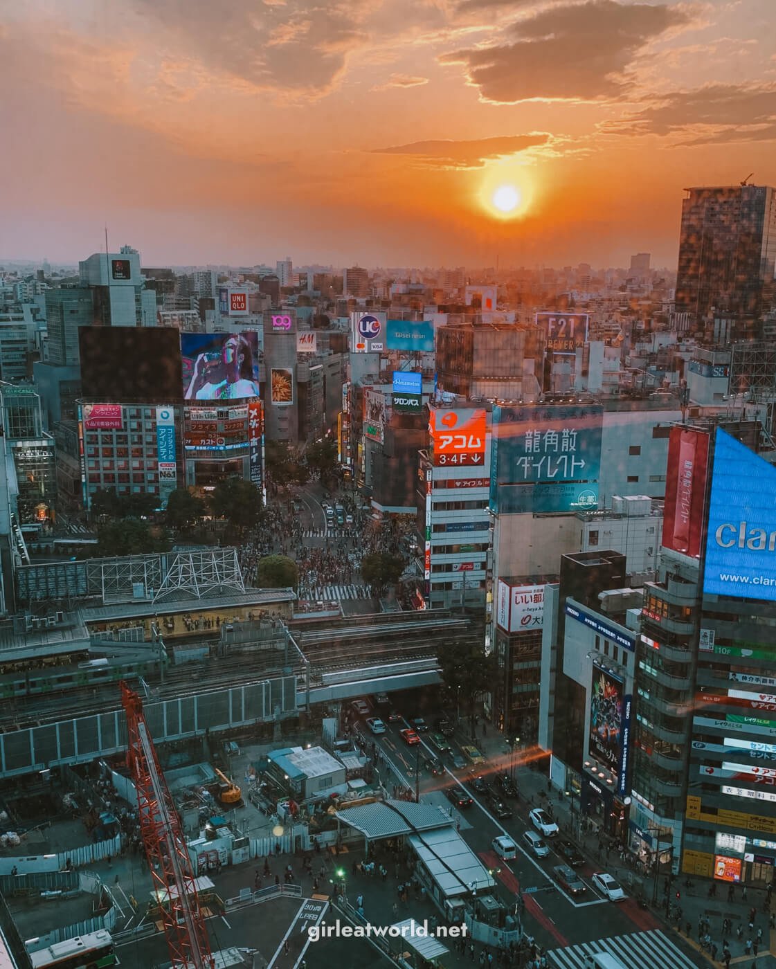 🏛️ 조후시 문화회관 타즈쿠리